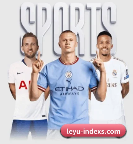从比分速递到赛后复盘的完整链路 - leyu sports