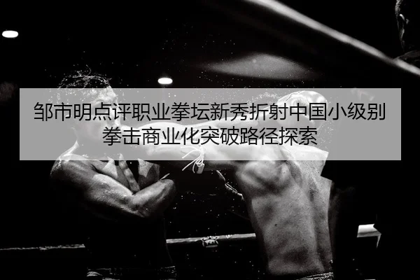 邹市明点评职业拳坛新秀折射中国小级别拳击商业化突破路径探索
